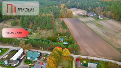 Urokliwa Działka 3500 m przy Lesie ogrodzona - powiat starogardzki  -
Pomorskie Zdjęcie nr 2