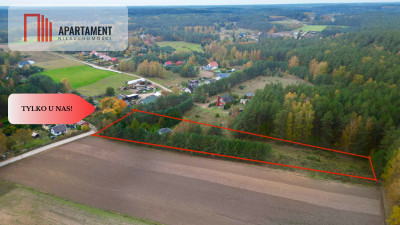Urokliwa Działka 3500 m przy Lesie ogrodzona - powiat starogardzki  -
Pomorskie Zdjęcie nr 4
