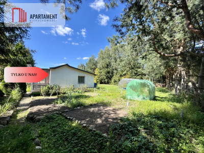 Urokliwa Działka 3500 m przy Lesie ogrodzona - powiat starogardzki  -
Pomorskie Zdjęcie nr 9