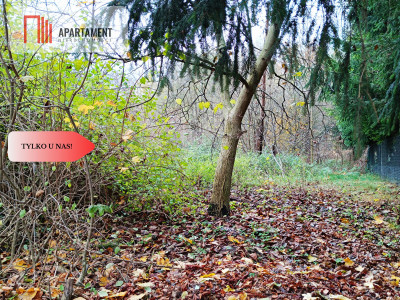 Działki budowlane - zabudowa jednorodzinna - powiat wołowski  -
Dolnośląskie Zdjęcie nr 4