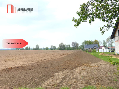 Działki z WZ w Dolinie Baryczy - powiat milicki  -
Dolnośląskie Zdjęcie nr 4