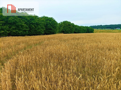 OKAZJA  OSÓWIEC DZIAŁKI BUDOWLANE 862m2 - powiat bydgoski  -
Kujawsko-Pomorskie