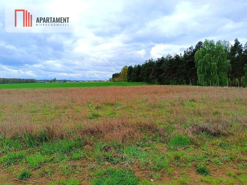 MORZEWIEC 1022m CISZA SPOKÓJ ŚCIANA LASU - powiat bydgoski  -
Kujawsko-Pomorskie Zdjęcie nr 1