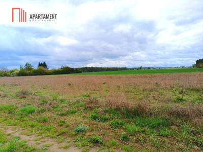 MORZEWIEC 1022m CISZA SPOKÓJ ŚCIANA LASU - powiat bydgoski  -
Kujawsko-Pomorskie Zdjęcie nr 2