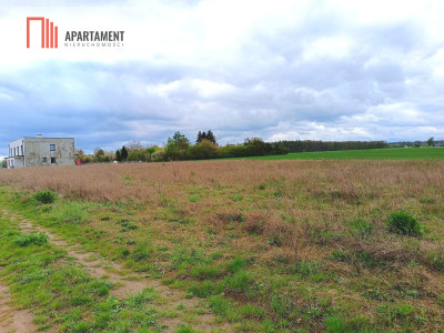 MORZEWIEC 1022m CISZA SPOKÓJ ŚCIANA LASU - powiat bydgoski  -
Kujawsko-Pomorskie Zdjęcie nr 3