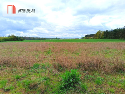 MORZEWIEC 1022m CISZA SPOKÓJ ŚCIANA LASU - powiat bydgoski  -
Kujawsko-Pomorskie Zdjęcie nr 5