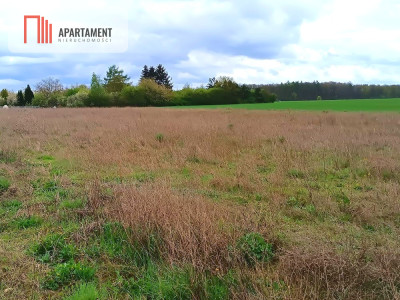 MORZEWIEC 1022m CISZA SPOKÓJ ŚCIANA LASU - powiat bydgoski  -
Kujawsko-Pomorskie Zdjęcie nr 6