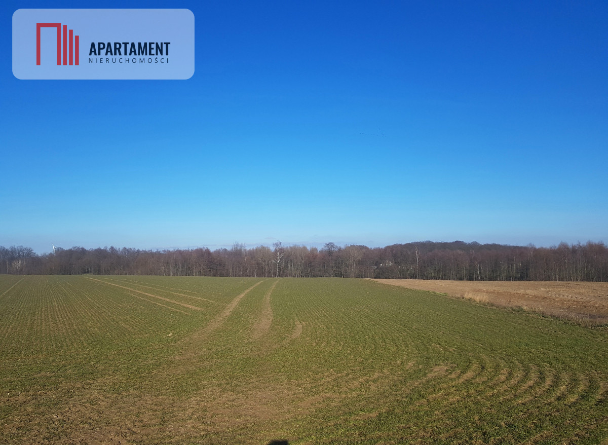 DZIAŁKA BUDOWLANA tereny w okolicy Natura 2000 - powiat bydgoski  -
Kujawsko-Pomorskie Zdjęcie nr 1