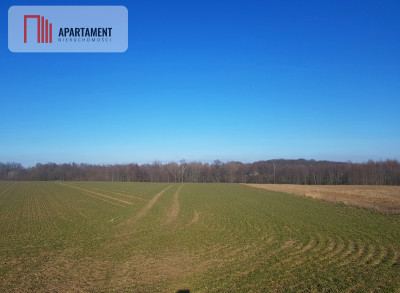 DZIAŁKA BUDOWLANA tereny w okolicy Natura 2000 - powiat bydgoski  -
Kujawsko-Pomorskie