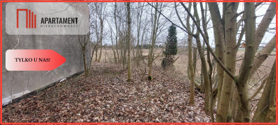Działka w atrakcyjnej lokalizacji - powiat strzelecko-drezdenecki  -
Lubuskie