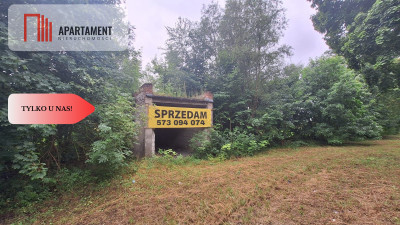 Działka w atrakcyjnej lokalizacji - powiat strzelecko-drezdenecki  -
Lubuskie Zdjęcie nr 2