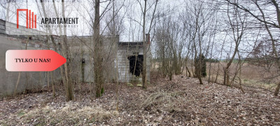 Działka w atrakcyjnej lokalizacji - powiat strzelecko-drezdenecki  -
Lubuskie Zdjęcie nr 8