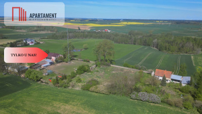 oferta dla inwestora gmina Gniew - powiat tczewski  -
Pomorskie Zdjęcie nr 5