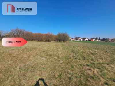Działka z potencjałem Stawiska k Mogilna - powiat mogileński  -
Kujawsko-Pomorskie Zdjęcie nr 8