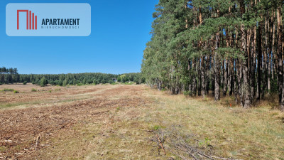 Działki od 45zlmkw  -Tylko u nas - powiat nakielski  -
Kujawsko-Pomorskie Zdjęcie nr 11