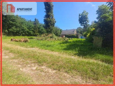 Działka 480m2 z warunkami zabudowy - powiat czarnkowsko-trzcianecki  - Wielkopolskie