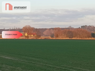 TYLKO U NAS Ostatnia ZACISZNA  ZIELONA DZIAŁKA  - powiat chełmiński  -
Kujawsko-Pomorskie Zdjęcie nr 3