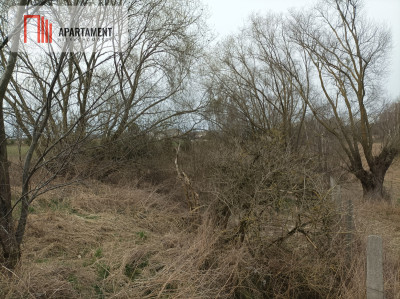 Działka z warunkami zabudowy i mediami - powiat wągrowiecki  -
Wielkopolskie Zdjęcie nr 9