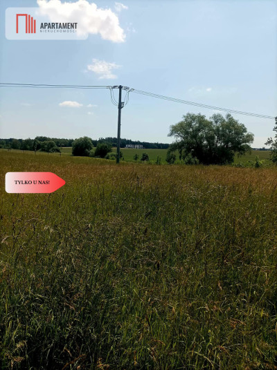 Sprzedaż praw do 2 działek ROD Łobżenica - powiat pilski  -
Wielkopolskie Zdjęcie nr 5