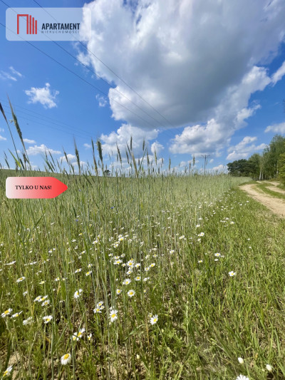 Działka w leśnym zaciszu - powiat chodzieski  -
Wielkopolskie Zdjęcie nr 2
