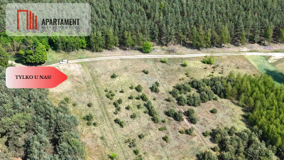 Działka w leśnym zaciszu - powiat chodzieski  -
Wielkopolskie Zdjęcie nr 4