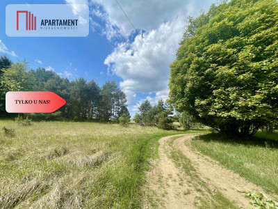Działka w leśnym zaciszu - powiat chodzieski  -
Wielkopolskie Zdjęcie nr 5