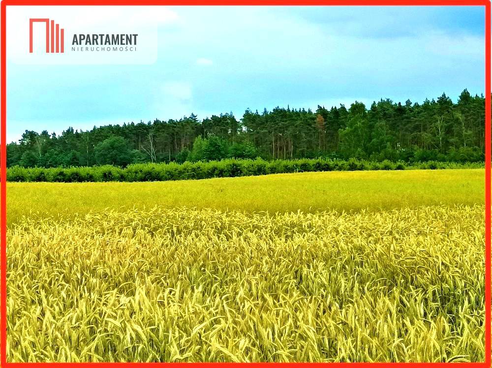 SZCZUTKI-MORZEWIEC 862m2  LAS CISZA SPOKÓJ - powiat bydgoski  -
Kujawsko-Pomorskie Zdjęcie nr 1