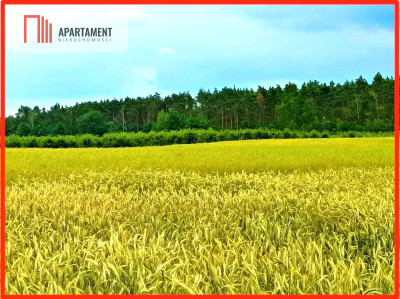 SZCZUTKI-MORZEWIEC 862m2  LAS CISZA SPOKÓJ - powiat bydgoski  -
Kujawsko-Pomorskie