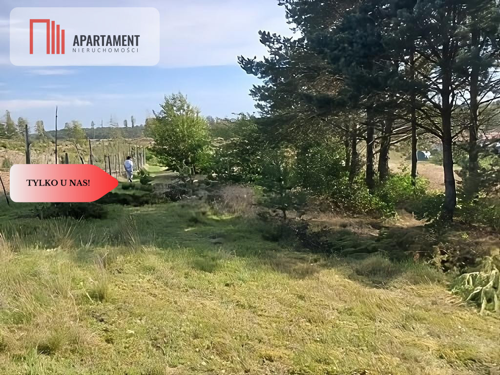 Dla kochających nature jeziora słońce KASZUBY - powiat kościerski  -
Pomorskie Zdjęcie nr 1