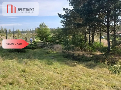 Dla kochających nature jeziora słońce KASZUBY - powiat kościerski  -
Pomorskie