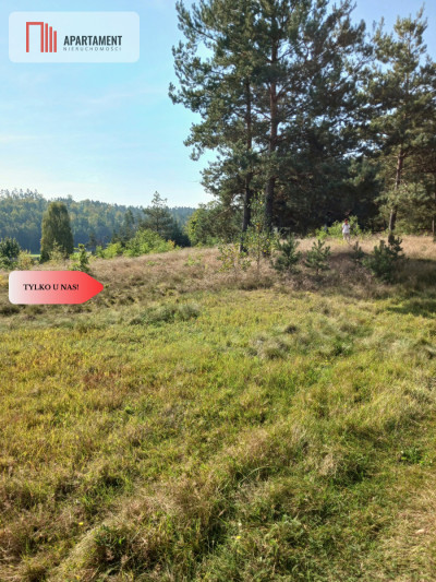 Dla kochających nature jeziora słońce KASZUBY - powiat kościerski  -
Pomorskie Zdjęcie nr 3