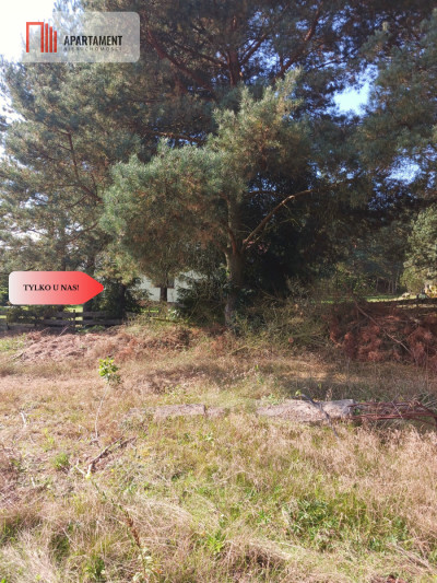 Dla kochających nature jeziora słońce KASZUBY - powiat kościerski  -
Pomorskie Zdjęcie nr 4