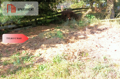 Dla kochających nature jeziora słońce KASZUBY - powiat kościerski  -
Pomorskie Zdjęcie nr 5