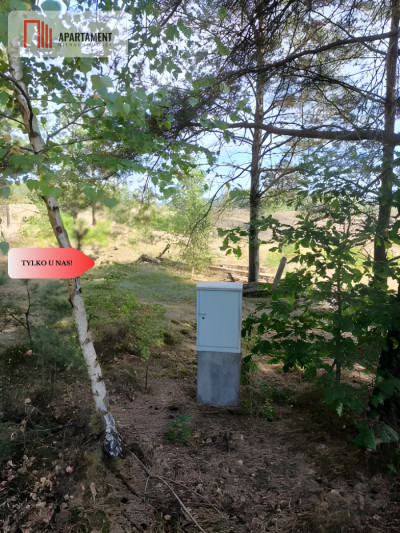 Dla kochających nature jeziora słońce KASZUBY - powiat kościerski  -
Pomorskie Zdjęcie nr 7