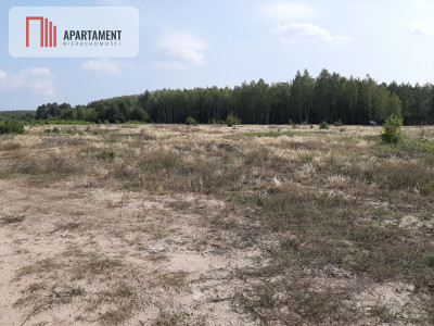 dzialki w pobliżu jeziora - powiat żniński  -
Kujawsko-Pomorskie Zdjęcie nr 2