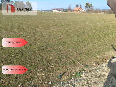Tylko u  Nas ATRAKCYJNE DZIAŁKIA Budowlane - powiat nowomiejski  -
Warmińsko-Mazurskie Zdjęcie nr 10