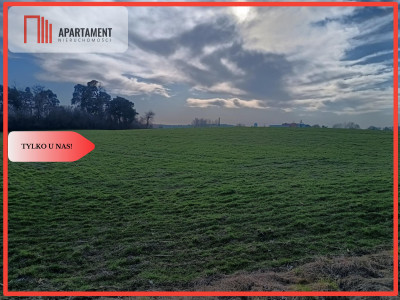 Tylko u  Nas ATRAKCYJNE DZIAŁKIA Budowlane - powiat nowomiejski  -
Warmińsko-Mazurskie