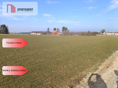 Tylko u  Nas ATRAKCYJNE DZIAŁKIA Budowlane - powiat nowomiejski  -
Warmińsko-Mazurskie Zdjęcie nr 9