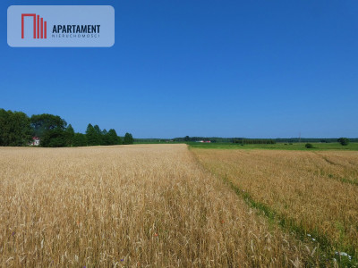 Spokojna lokalizacja Dojazd drogą asfaltową - powiat bydgoski  -
Kujawsko-Pomorskie Zdjęcie nr 3