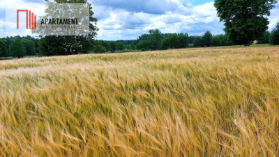 Wybuduj dom -  Krajeński Park Krajobrazowy - powiat sępoleński  -
Kujawsko-Pomorskie Zdjęcie nr 8