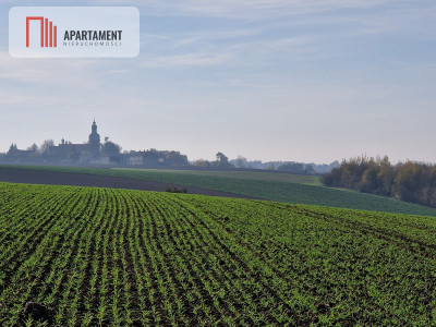 Działka z pięknym widokiem na jezioro Żnińskie - powiat żniński  -
Kujawsko-Pomorskie Zdjęcie nr 8
