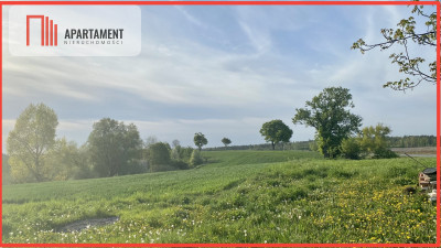 Działki z warunkami zabudowy 15km od Bydgoszczy - powiat żniński  -
Kujawsko-Pomorskie