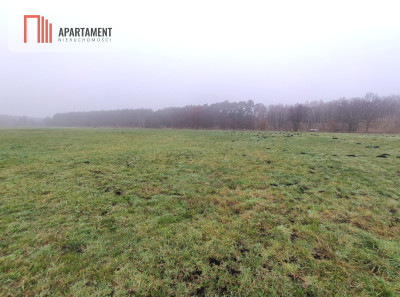 Działki z warunkami zabudowy 15km od Bydgoszczy - powiat żniński  -
Kujawsko-Pomorskie Zdjęcie nr 2