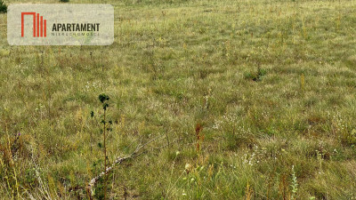 Działki z warunkami zabudowy 15km od Bydgoszczy - powiat żniński  -
Kujawsko-Pomorskie Zdjęcie nr 3