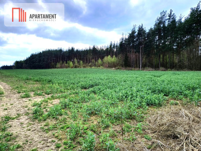 Piękna działka przy samym lesie  - powiat starogardzki  -
Pomorskie Zdjęcie nr 3