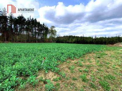 Piękna działka przy samym lesie  - powiat starogardzki  -
Pomorskie Zdjęcie nr 4