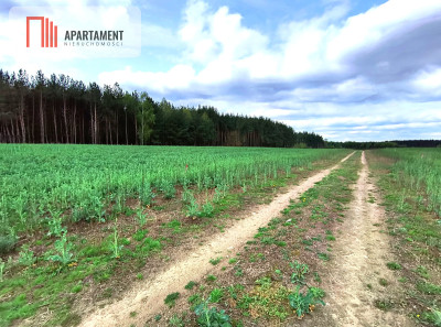 Piękna działka przy samym lesie  - powiat starogardzki  -
Pomorskie Zdjęcie nr 5