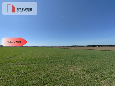 TYLKO U NAS Działka pod wymarzony dom - powiat sępoleński  -
Kujawsko-Pomorskie Zdjęcie nr 5