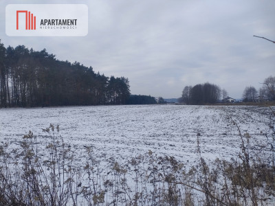 Działka usługowamożliwość zakupu mniejszej - powiat toruński  -
Kujawsko-Pomorskie Zdjęcie nr 2
