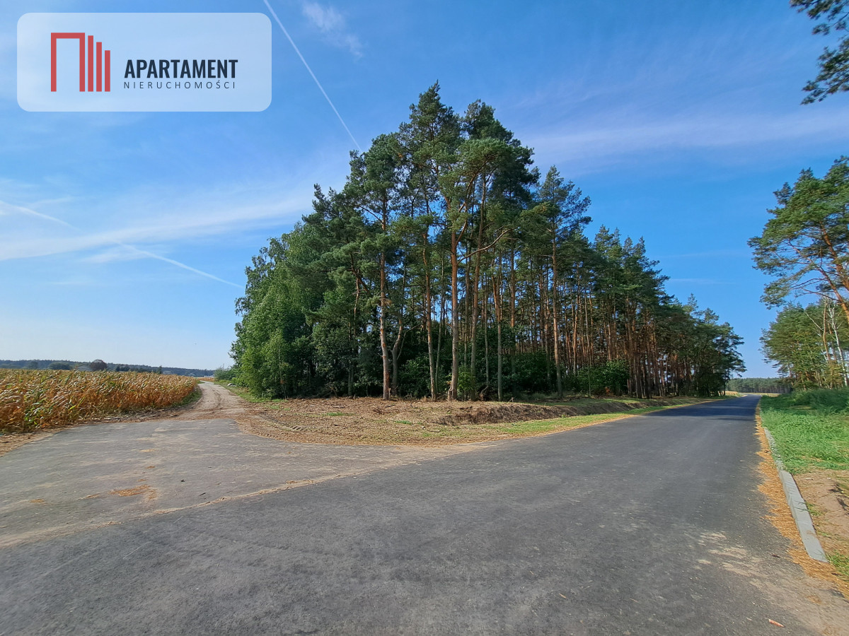 Toporzysko ul Kolejowa pod laskiem - powiat toruński  -
Kujawsko-Pomorskie Zdjęcie nr 1